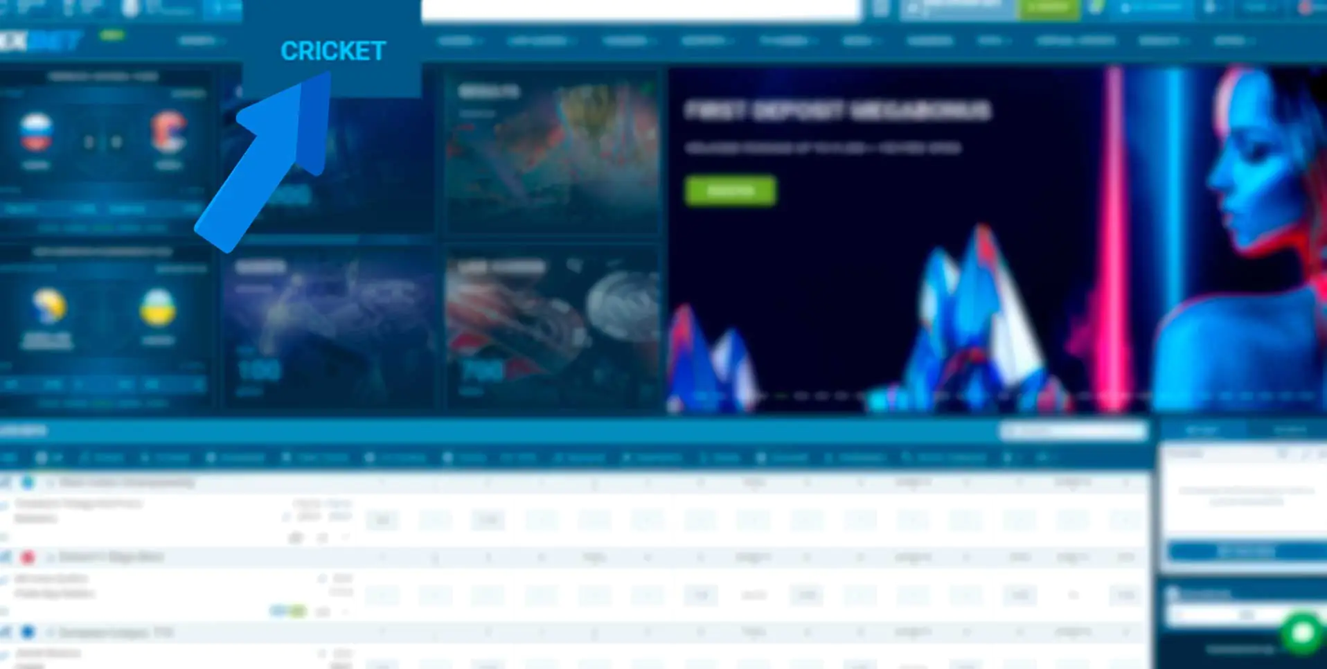 Go to the cricket section of the bookmaker's website
