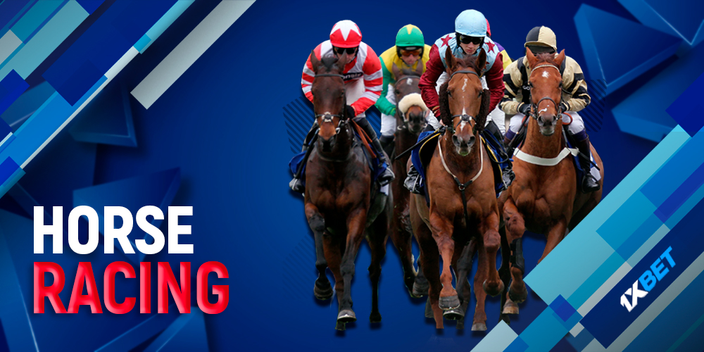 Why you should bet on horse racing